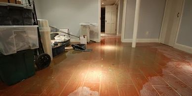 What is Poly B? | polybpros.ca